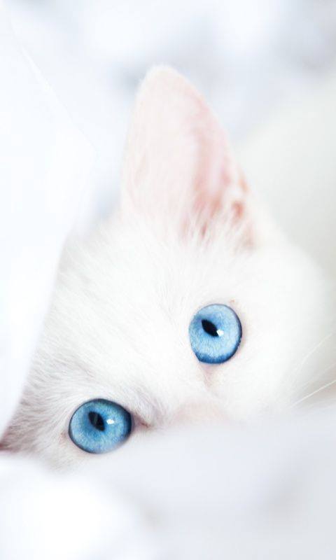 durisqods:  Follow for more more wonderful picture 