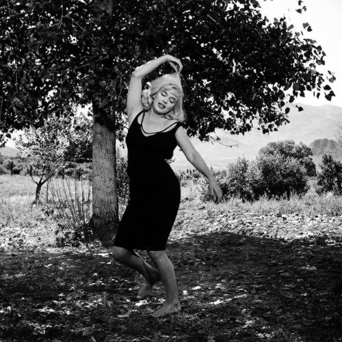 amyadams: Marilyn Monroe, phorographed by Inge Morath, in Reno, Nevada, 1960.