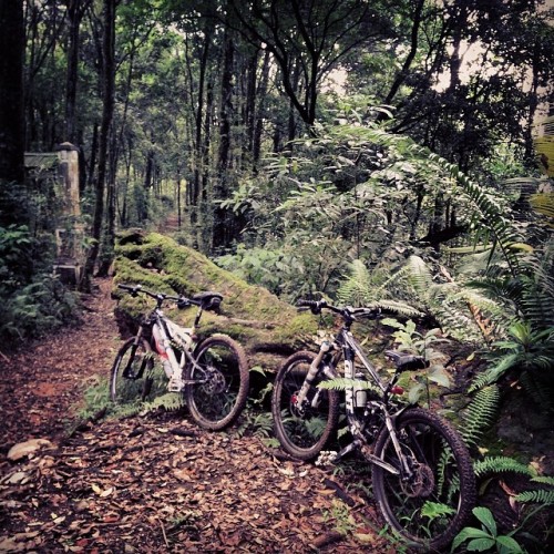 herryyf:  #goes #gowes #bicycle #cycle #bike #giant #gianttrance #polygon #adventure #enduro #sram #