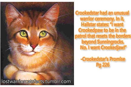 Interesting facts about warrior cats!