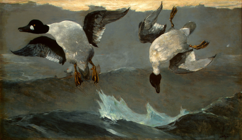 Right and Left, Winslow Homer, 1909