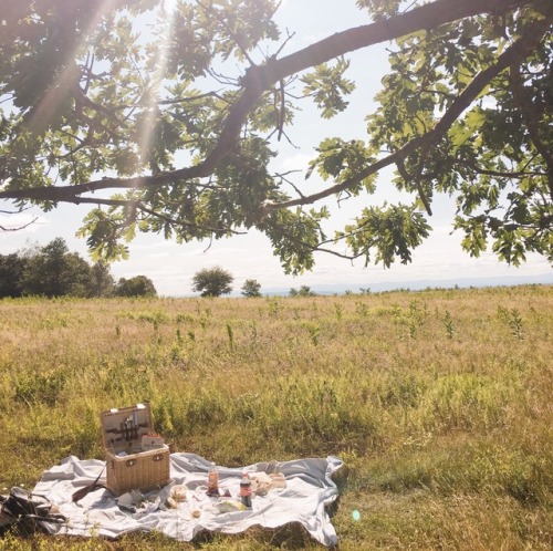 Moving back to uni tomorrow… here’s a “farewell to summer” post from my trip to Shenandoah National 