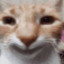 deyrfu