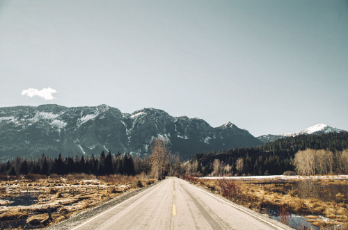 eastonlemos: Lake Wenatchee, WA