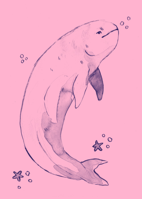 Day 31 At risk - Irrawaddy river dolphinAaand it’s the last day of wildoctoberart! It was super chal