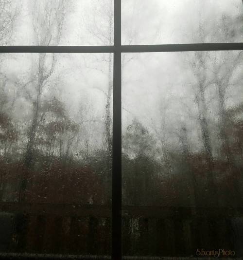 Rainy day = lazy lounge day  #windowshot #raindrops #photography #amatuerphotography #s7photography 