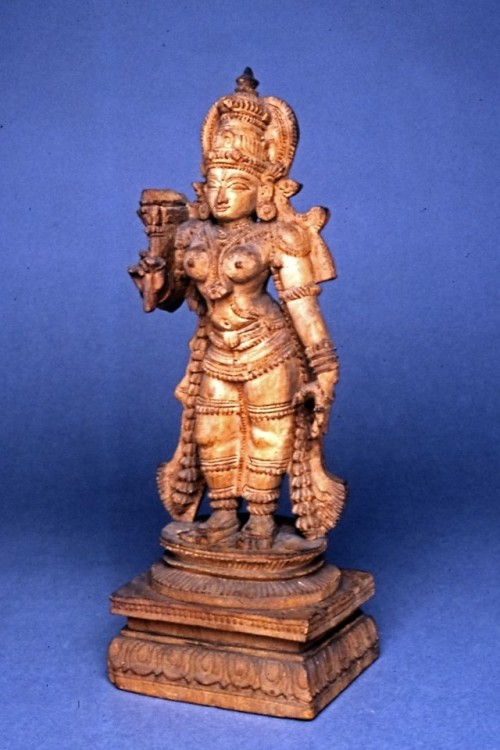 Bhumi Devi the Earth Goddess