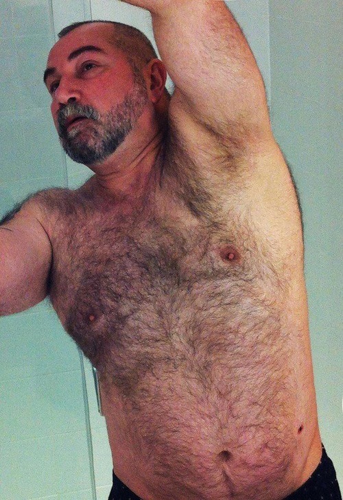 Bears-Pictures