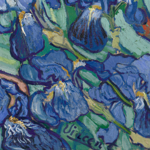 goodreadss:Vincent Van Gogh, Irises 1889