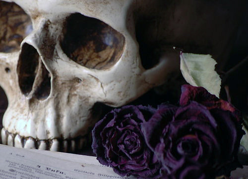 edgarskeleton:37/365(2)