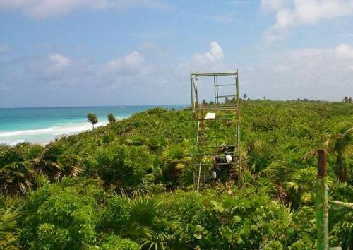 analogway:  PRODUCTORA Scaffolding in the jungle to define heights and views of a new project in the