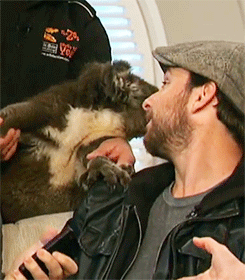 hellyeahcharlieday:  (x) 