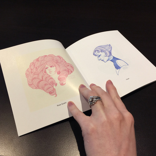 Steven Universe Sketchbook Pre-Orders Are Now Available!