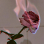sirxns-xo