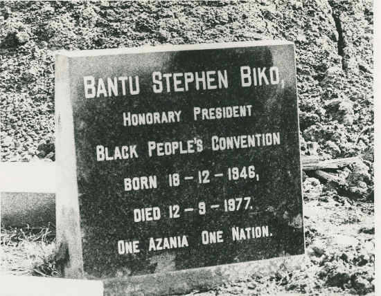 Biko's grave