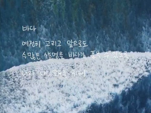 : May The Sea Always Be Full Of Life, From Now On And Forever And Ever. For You And Me, For All Of Us.