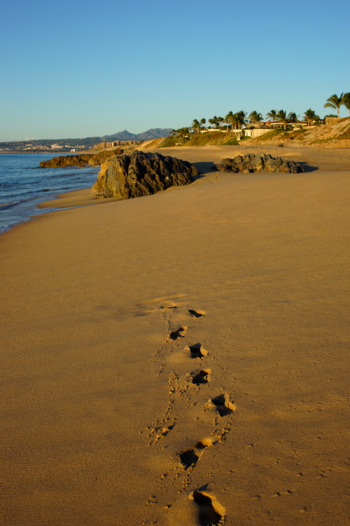 where will you make your footprint?