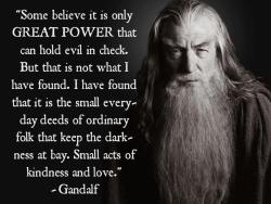 A wizard’s wisdom