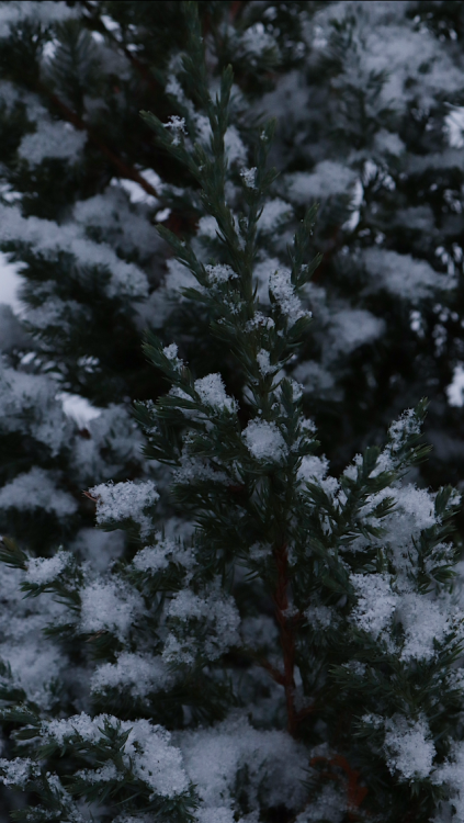 common-lockscreens: winter lockscreens ❄️ ❄️❄️❄️❄️❄️❄️❄️ reblog or like if you save