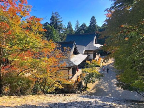 神護寺 [ 京都市右京区 ] Jingoji Temple, Kyoto の写真・記事を更新しました。 ーー“日本三名鐘”の銅鐘をはじめ数多くの国宝を所蔵する #和気清麻呂 や #空海 ゆかりの京都