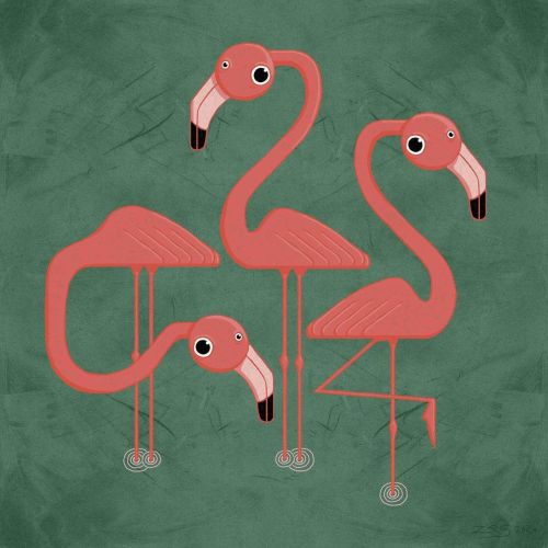 #wraptious #wraptiouscushioncompetition #flamingo #flamingos #illustration #illustrationartists #aff