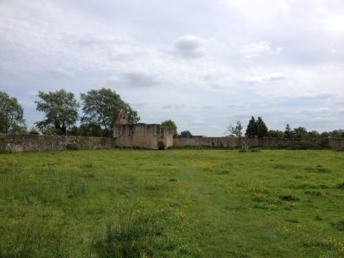 The ruins of Godstow Abbey, near Oxford.