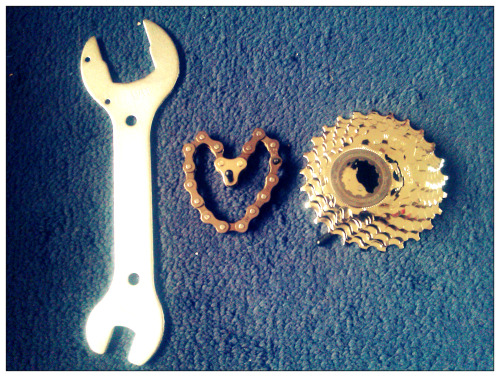 jcoope:  Barry White Bike Maintenance on Valentines Day