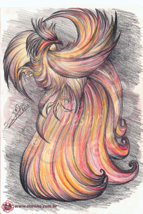 siwone:Fire Bird - color pencil2012TOOLS: Color pencil - school onesMUSIC: Adele - Someone Like YouT