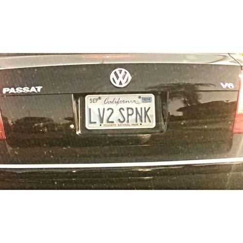 plector:  Sweet plate!