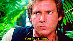 hishap:  likebluefire:  jamesfactscalvin:  Dear Dudebros, one of your heroes, Han Solo, realized he was going to be friendzoned by the girl he likes and ACCEPTED it and chose not to call her a bitch, even promising to not get in their way as a couple.