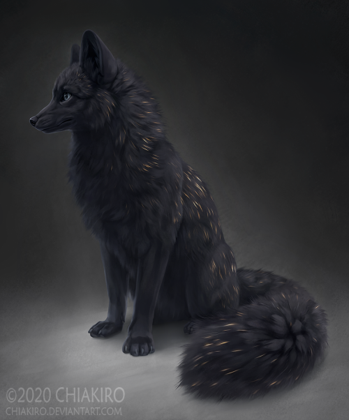 chiakiroart: The fire fox, “tulikettu”, is from Finnish mythology. Its fur is pitch black, but it sh