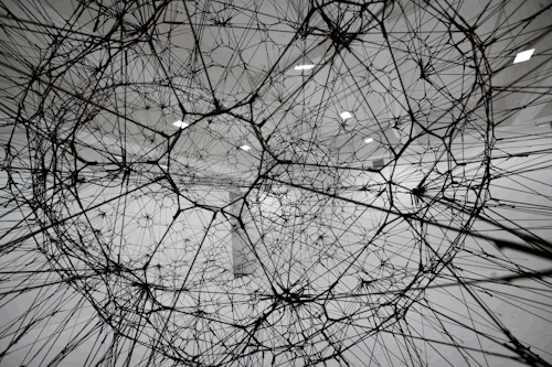 marianneburlew:  Tomas Saraceno http://www.tomassaraceno.com/ 
