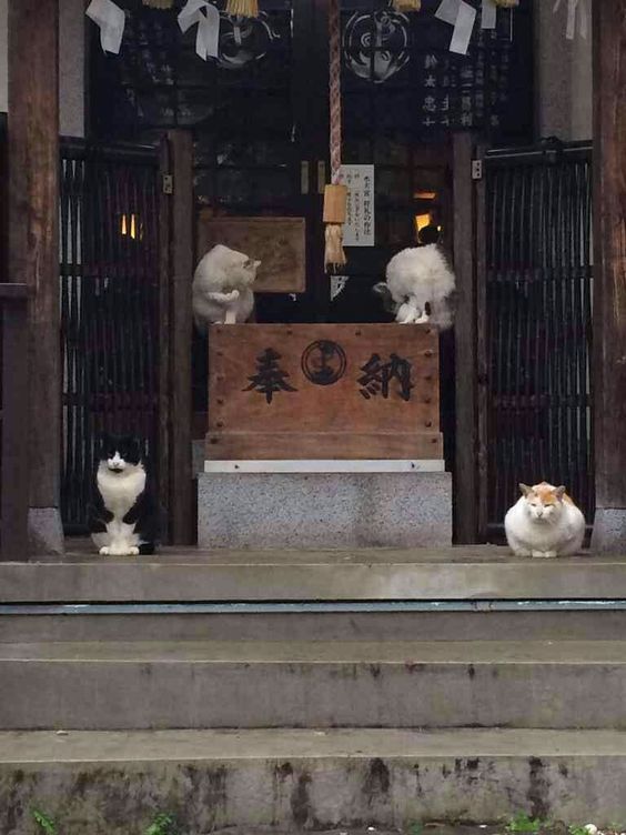 traditional-japan: Via Pinterest