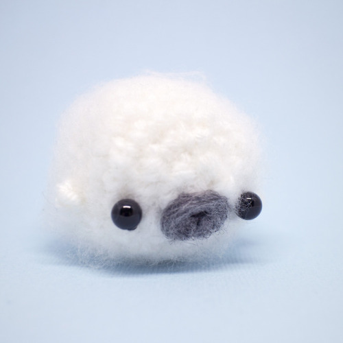 Here is a nice fluffy seal.