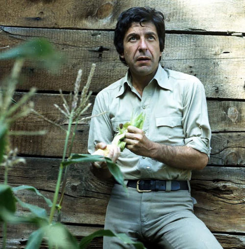 fuckyeahmrleonardcohen: Leonard shucking corn in the yard of his Montréal home, 1974Photo by John Ro