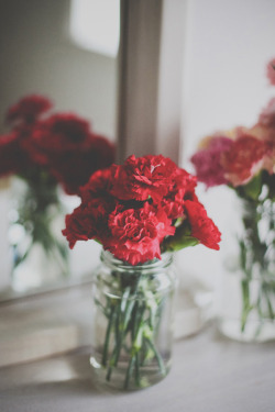 I absolutely love carnations. Such a lovely