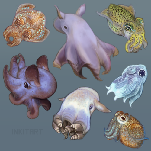 inkitart:  Photo studies and practice with greyscale shading/gradient maps. Cephalopods seem to come