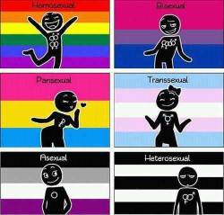 n1hao:  thilboner:  wendymabelaraneaprenderghast:  kergiby:  no1currica:  I kinda feel like this characterizes all heterosexuals as being stern or unyielding or narrow or something like that as people, while all other sexualities are some kind of fun