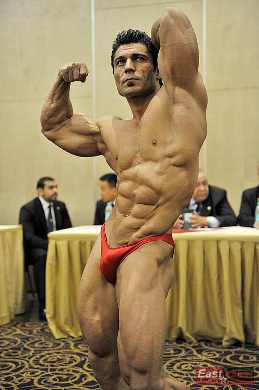 MUSCLE