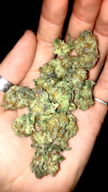 stoneystevy:  some platinum girl scout cookies ✨ 