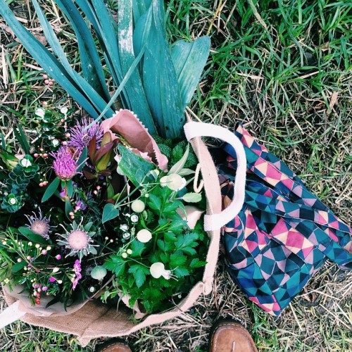 Natives, foraged herbs, vegetables and vanilla persimmons at the farmers market today. Such gorgeous