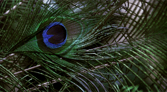 tumblr_pgzovuTvKF1r9dn83o4_r1_540.gif