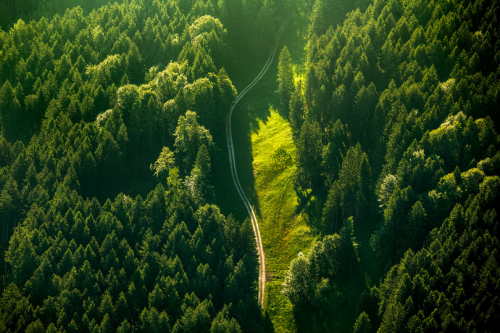 expressions-of-nature:  by Johannes HeuckerothThe Beauty of Bavaria