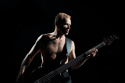 Flea, Summer 2013 ©Ryan Jay ryanjayphoto.com