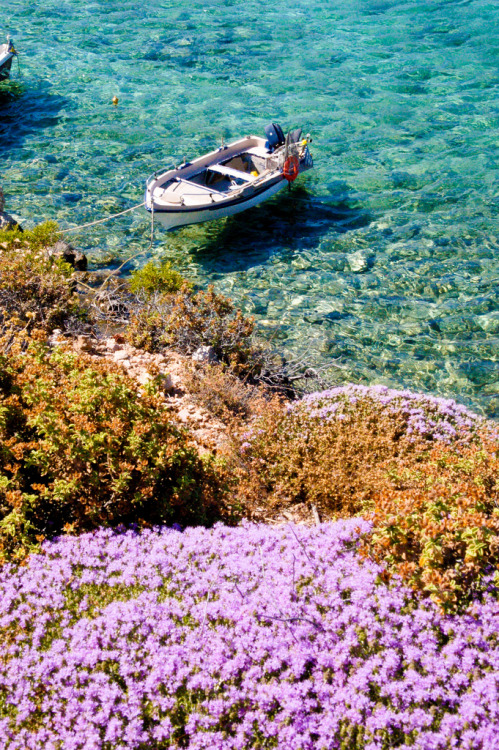This is my Greece | Amoopi bay on Karpathos island, Dodecanese