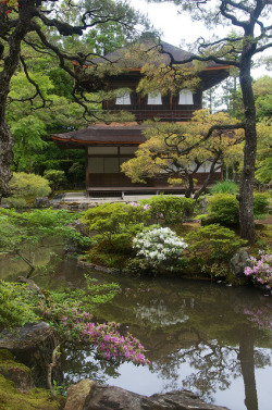 dranilj1:  Kyoto by Duncan (Duncan Palmer Photography) on Flickr.