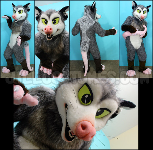 cleanfurries:  fursuit-love:  A possum made by JillCostumes!  And a opossum suit?!?! What is this, opossum-on-tumblr day?  *SCREAMS* omg that is a good possum!! aaaaa so precious