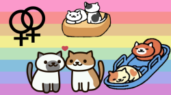 everyoneislesbians:  All of the Neko Atsume