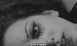 suicide-is-my-father:  ✧
