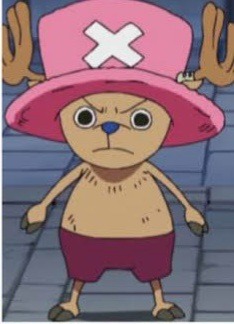 Chopper pre timeskip vs Chopper post timeskip - whose your